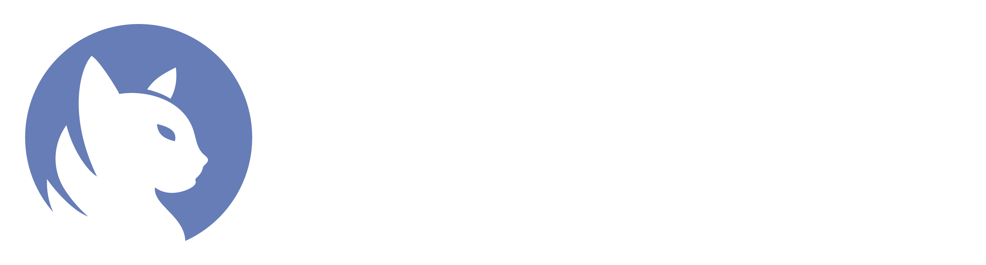 HolderScan Logo